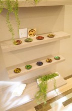 【箱入り】いろいろ小桜皿