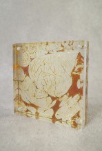 漆自然紋写真立て　桜紋